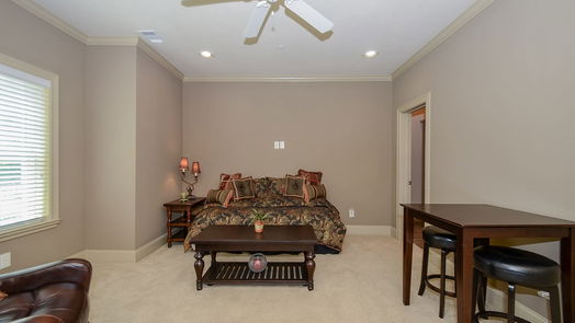 Sugar Land 4-story, 3-bed 1368 Lake Pointe Parkway-idx