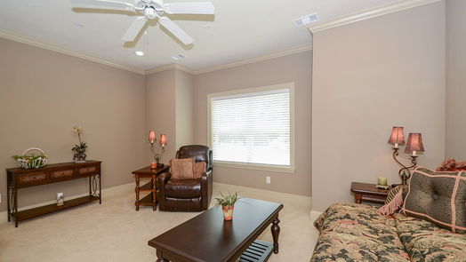 Sugar Land 4-story, 3-bed 1368 Lake Pointe Parkway-idx