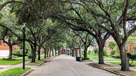 Sugar Land 2-story, 5-bed 149 N Hall Drive-idx