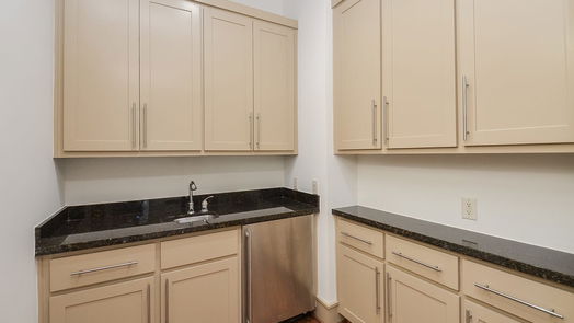 Sugar Land 3-story, 2-bed 1408 Lake Pointe Parkway-idx