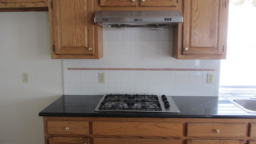 Sugar Land 2-story, 4-bed 3807 Elkins Road-idx