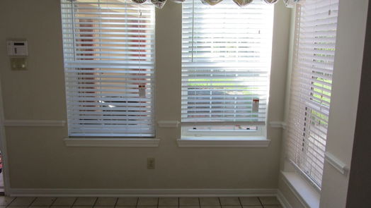 Sugar Land 2-story, 4-bed 3807 Elkins Road-idx