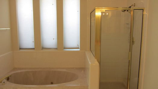 Sugar Land 2-story, 4-bed 3807 Elkins Road-idx