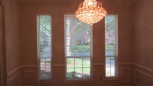 Sugar Land 2-story, 4-bed 3807 Elkins Road-idx
