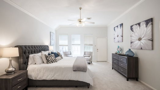 Sugar Land 1-story, 3-bed 1809 Auburn Trail-idx
