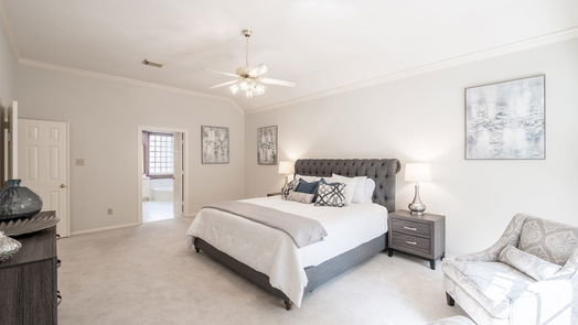 Sugar Land 1-story, 3-bed 1809 Auburn Trail-idx