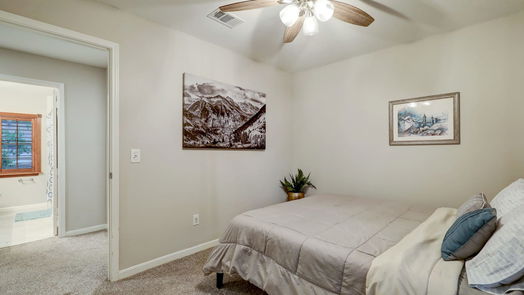 Sugar Land 2-story, 4-bed 3418 Hidden Creek Drive-idx