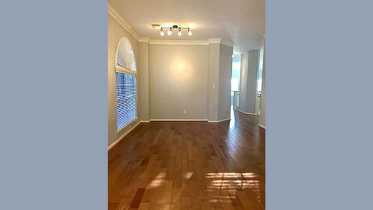 Sugar Land 1-story, 4-bed 4506 Springfield Lakes Street-idx