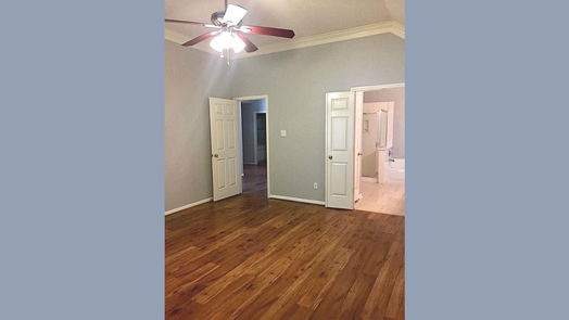 Sugar Land 1-story, 4-bed 4506 Springfield Lakes Street-idx