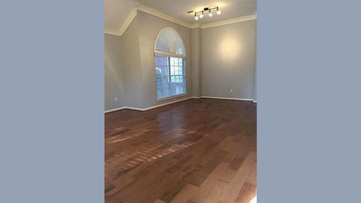 Sugar Land 1-story, 4-bed 4506 Springfield Lakes Street-idx