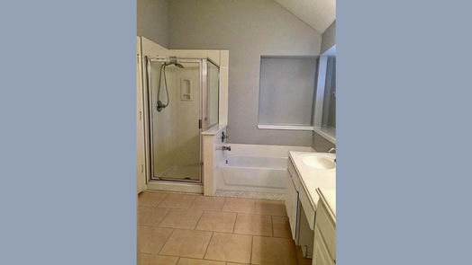 Sugar Land 1-story, 4-bed 4506 Springfield Lakes Street-idx