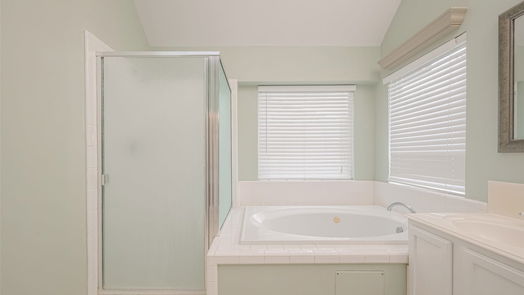 Sugar Land 1-story, 3-bed 1723 Wind Trace cove-idx