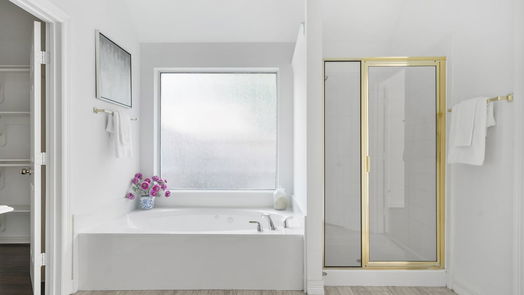 Sugar Land 1-story, 4-bed 2115 Starlite Field Drive-idx