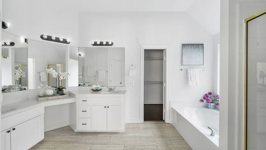 Sugar Land 1-story, 4-bed 2115 Starlite Field Drive-idx