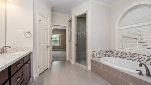 Sugar Land 2-story, 5-bed 3810 Springhill Lane-idx