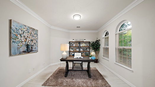 Sugar Land 2-story, 5-bed 6319 Hidden Crest Way-idx