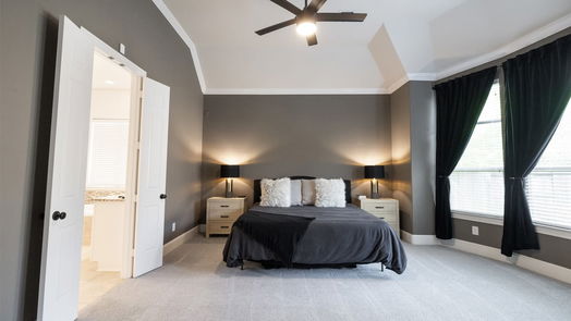 Sugar Land 1-story, 4-bed 5927 Lost Falls Court-idx