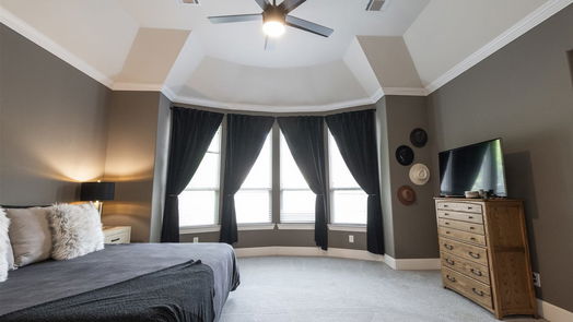 Sugar Land 1-story, 4-bed 5927 Lost Falls Court-idx