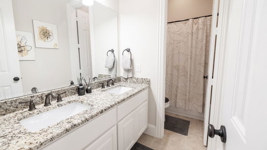 Sugar Land 1-story, 4-bed 5927 Lost Falls Court-idx