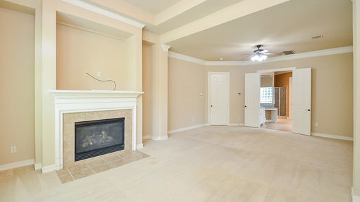 Sugar Land 2-story, 4-bed 7014 Applebee Court-idx