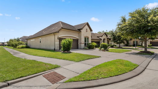 Sugar Land 1-story, 3-bed 5007 Wheaton Park Drive-idx