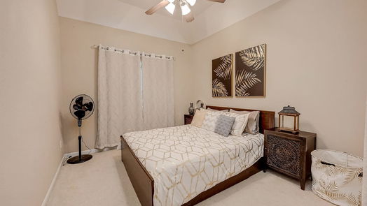 Sugar Land 1-story, 3-bed 2219 Ascot Lane-idx