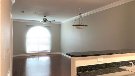 Sugar Land null-story, 1-bed 2299 LONE STAR Drive 344-idx