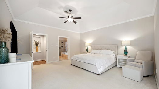 Sugar Land 2-story, 4-bed 1207 Maple Bough Court-idx