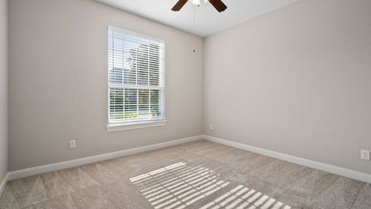 Sugar Land 1-story, 4-bed 4422 Shaded Arbor Way-idx