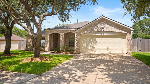 Sugar Land 1-story, 3-bed 5703 Black Canyon Court-idx