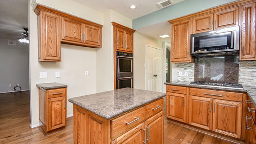 Sugar Land 2-story, 6-bed 1738 Berkoff Drive-idx