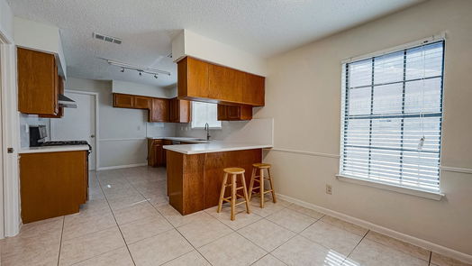 Sugar Land 2-story, 3-bed 3106 Sam Houston Drive-idx