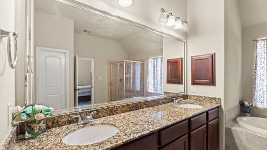 Sugar Land null-story, 4-bed 4219 Orchard Arbor Lane-idx