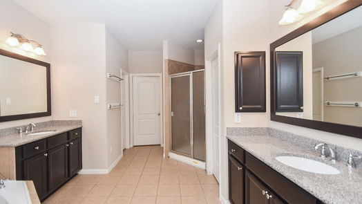 Sugar Land 2-story, 6-bed 5306 Belle Manor Lane-idx