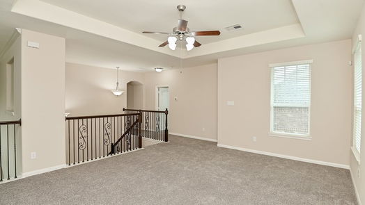 Sugar Land 2-story, 6-bed 5306 Belle Manor Lane-idx
