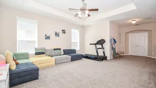 Sugar Land 2-story, 6-bed 5306 Belle Manor Lane-idx