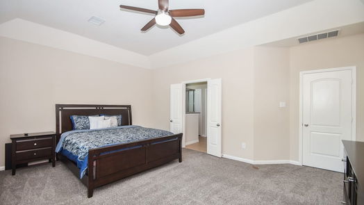 Sugar Land 2-story, 6-bed 5306 Belle Manor Lane-idx
