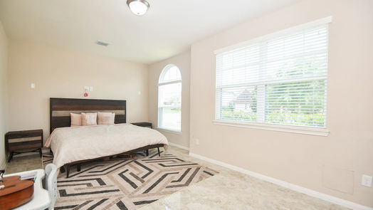 Sugar Land 2-story, 6-bed 5306 Belle Manor Lane-idx