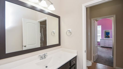 Sugar Land 2-story, 6-bed 5306 Belle Manor Lane-idx