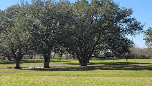 Waller 1-story, 3-bed 28302 Piney Corners Lane-idx