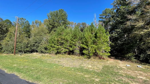 Waller null-story, null-bed 29380 Clydesdale Drive-idx