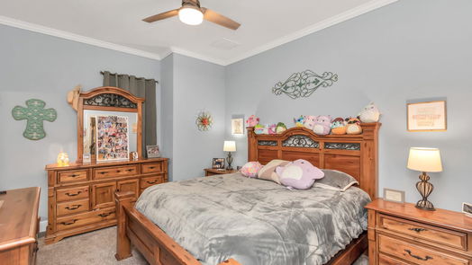 Waller null-story, 4-bed 15133 Mathis Road-idx