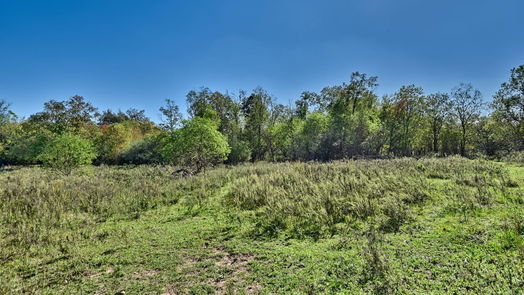 Waller 1-story, 3-bed 31742 Waller Tomball Road-idx