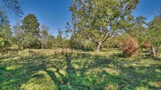 Waller 1-story, 3-bed 31742 Waller Tomball Road-idx