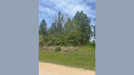 Waller null-story, null-bed 35875 Pineridge Road-idx