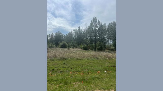 Waller null-story, null-bed 35875 Pineridge Road-idx