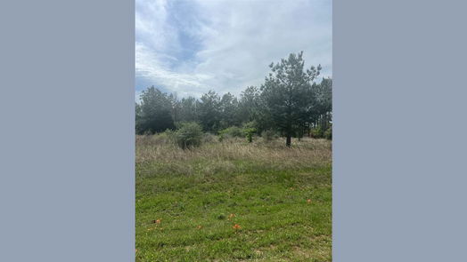 Waller null-story, null-bed 35875 Pineridge Road-idx