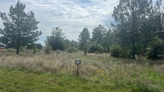 Waller null-story, null-bed 35875 Pineridge Road-idx