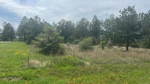 Waller null-story, null-bed 35875 Pineridge Road-idx