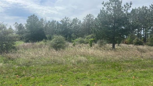 Waller null-story, null-bed 35875 Pineridge Road-idx